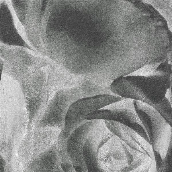 BLUZA Z BŁYSZCZĄCĄ RÓŻĄ GRAFITOWA (5092)