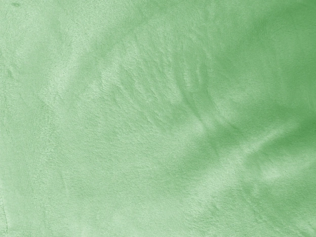 Welurowy dres damski z kapturem jasny zielony (8C1175-127)