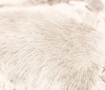 Damski zimowy płaszcz z futrem beżowy (008)