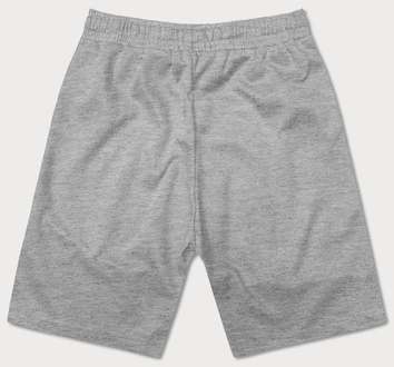 Dwukolorowe spodenki męskie szare (8K930-2)